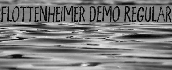 Flottenheimer DEMO Regular Font examples