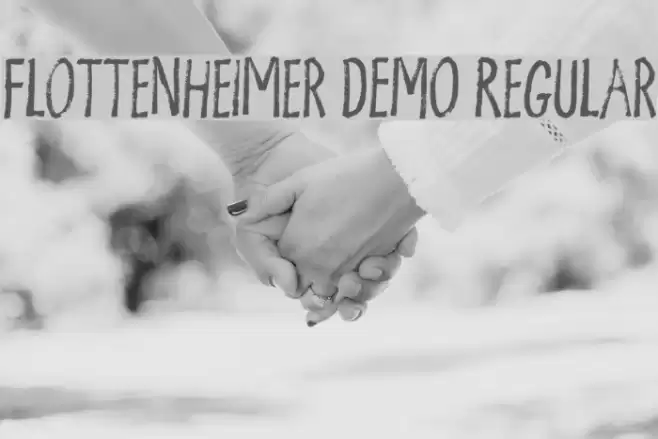 Flottenheimer DEMO Regular Font examples