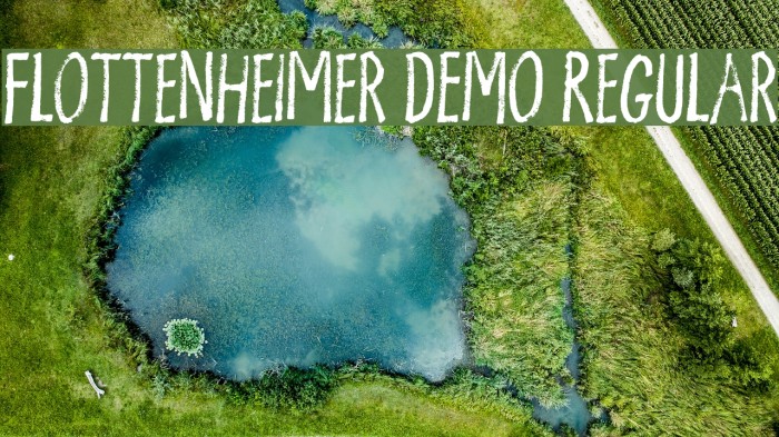 Flottenheimer DEMO Regular Font examples