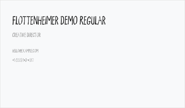 Flottenheimer DEMO Regular Business Card