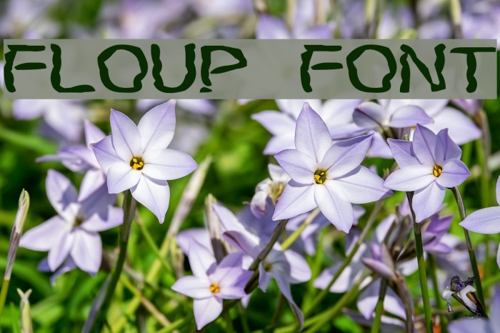Floup Font examples