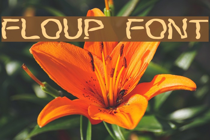Floup Font examples