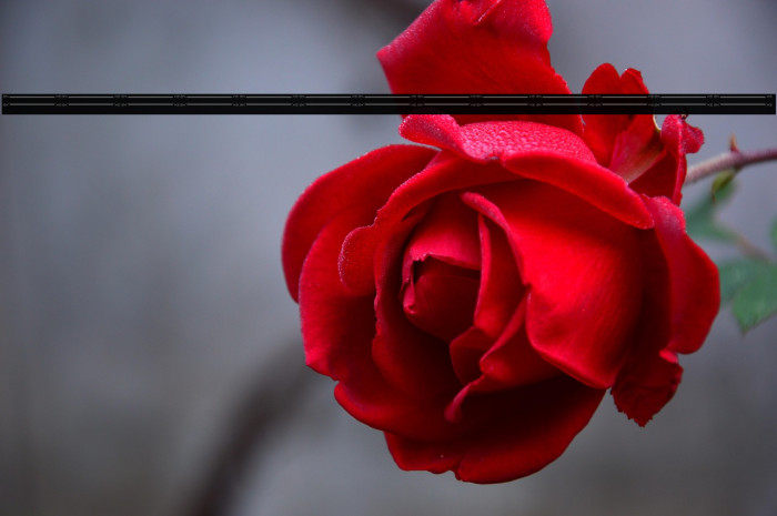 Flourish Divider Example 2