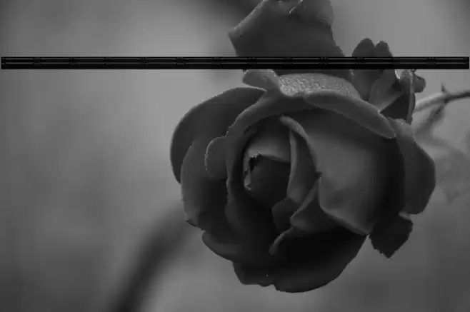 Flourish Divider Font examples