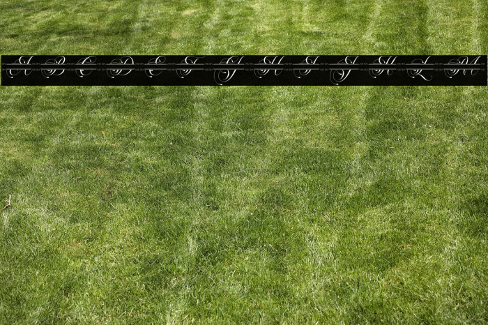 Flourish Monogram Example 1