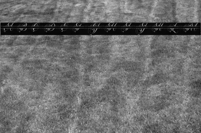 Flourish Monogram Font examples