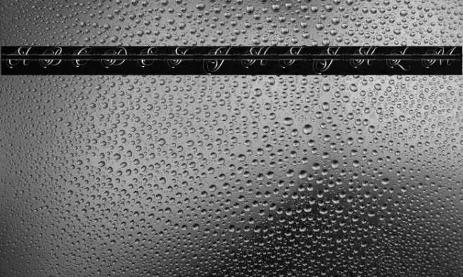 Flourish Monogram Font examples