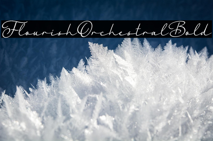 FlourishOrchestralBold Example 3