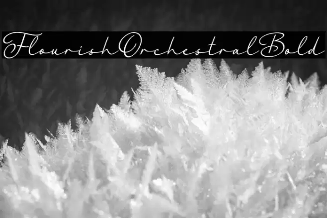 FlourishOrchestralBold Font examples