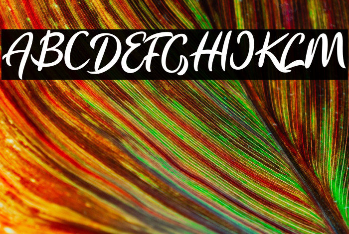 Flourissha Italic Example 1