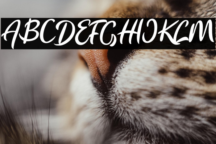 Flourissha Italic Example 3