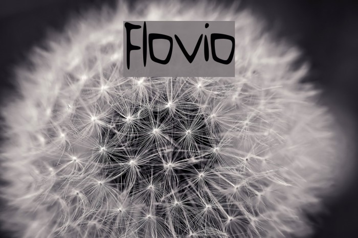 Flovio Font examples