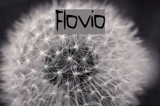 Flovio Example 2