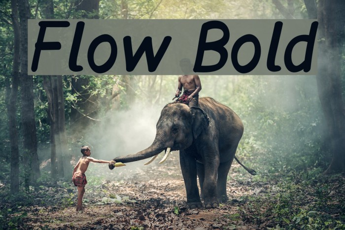 Flow Bold Fonte examples