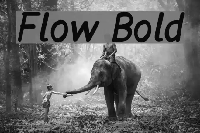Flow Bold  examples