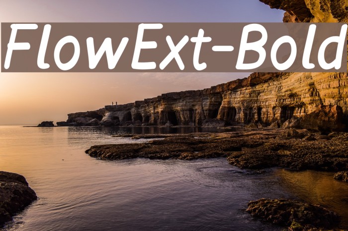 FlowExt-Bold Fonte examples