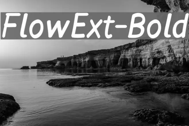 FlowExt-Bold examples