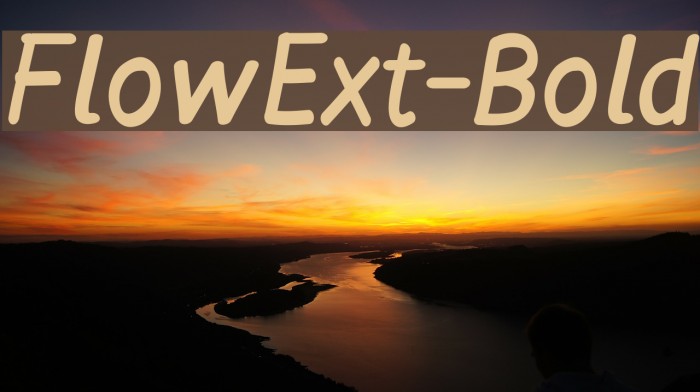 FlowExt-Bold Fonte examples
