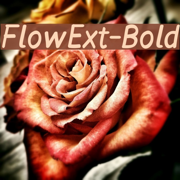 FlowExt-Bold Fonte examples