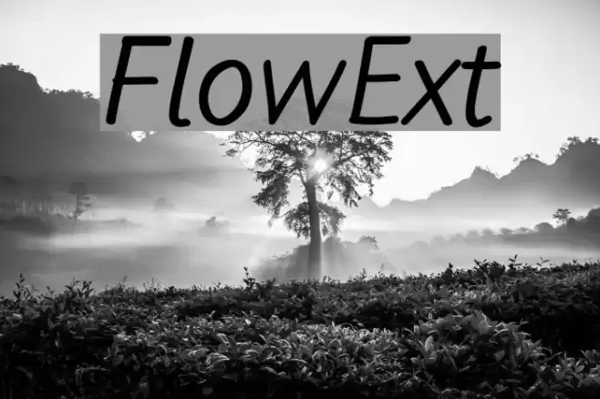 FlowExt Font examples