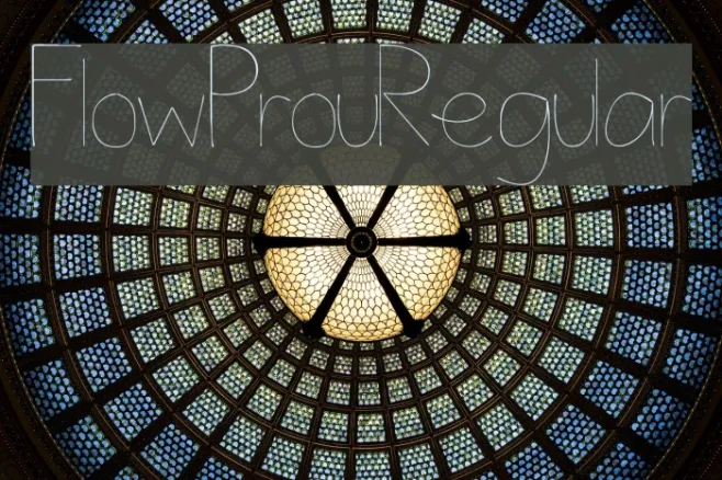 FlowProuRegular Example 2