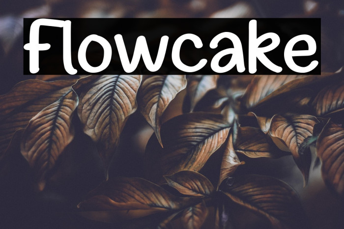 Flowcake Font examples