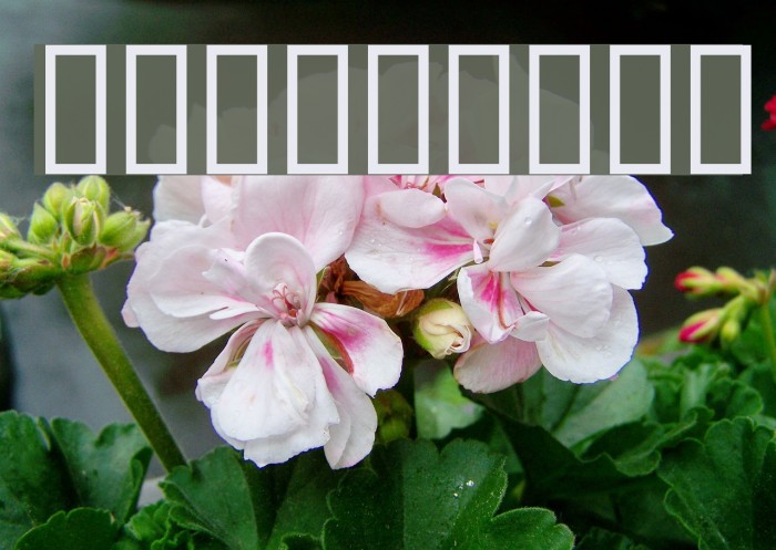 Flowchart Caratteri examples