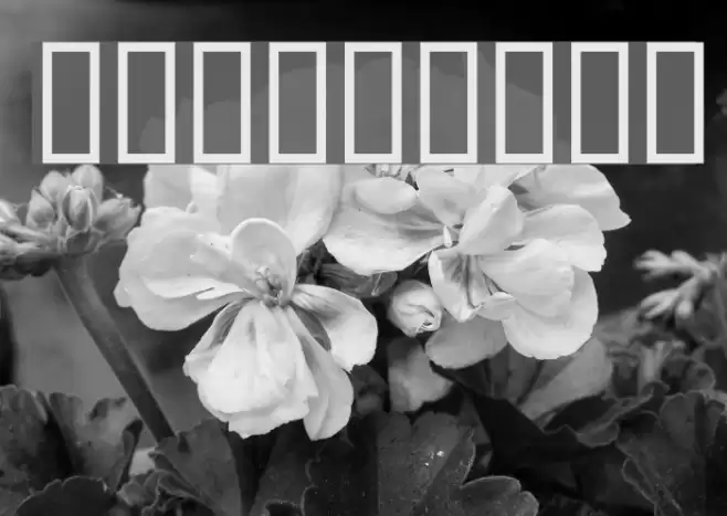 Flowchart Caratteri examples