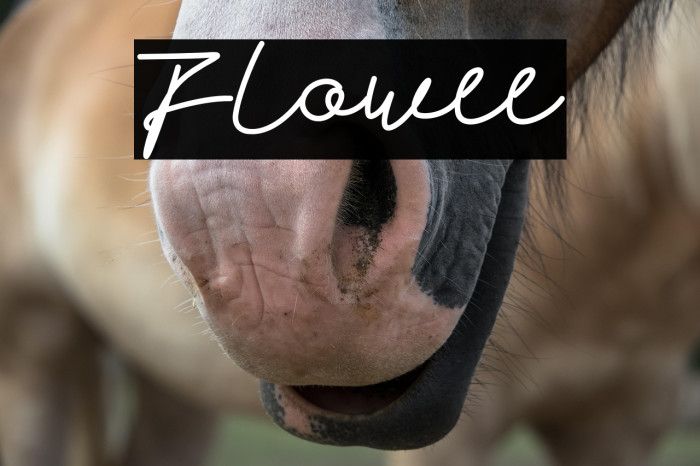 Flowee Example 1