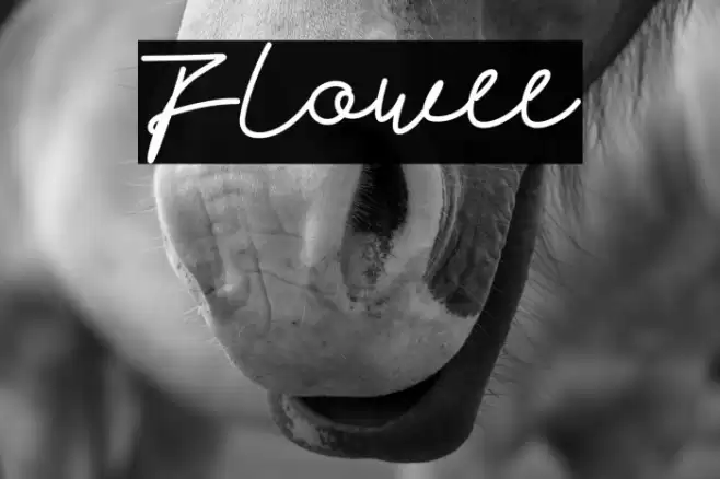 Flowee Font examples