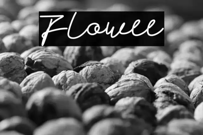 Flowee Font examples
