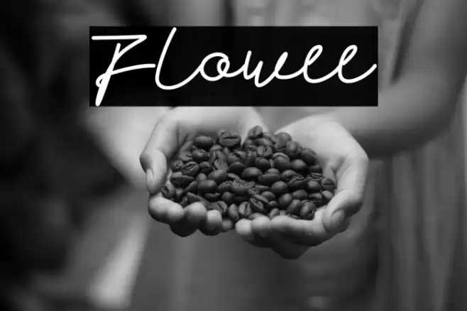 Flowee Font examples