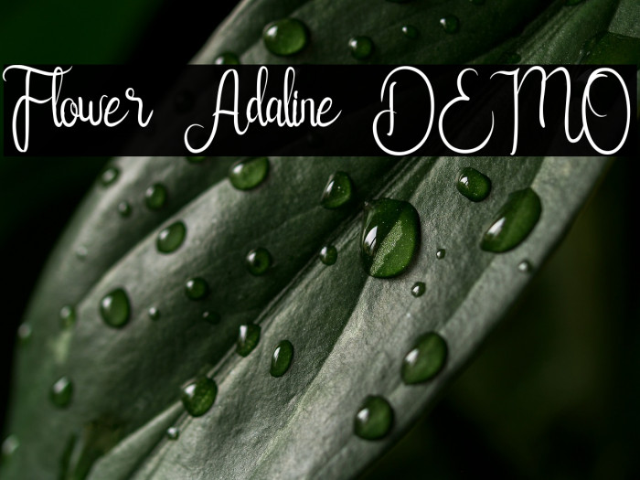 Flower Adaline DEMO Example 2