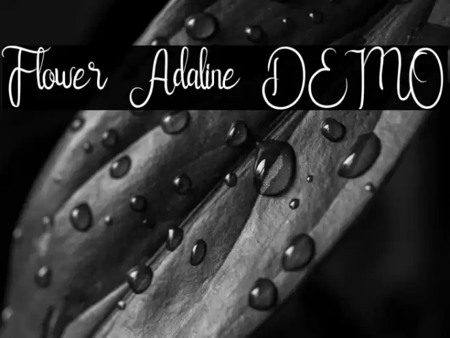 Flower Adaline DEMO Font examples