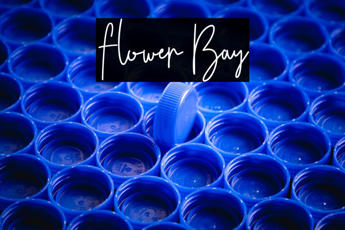 Flower Bay Example 1