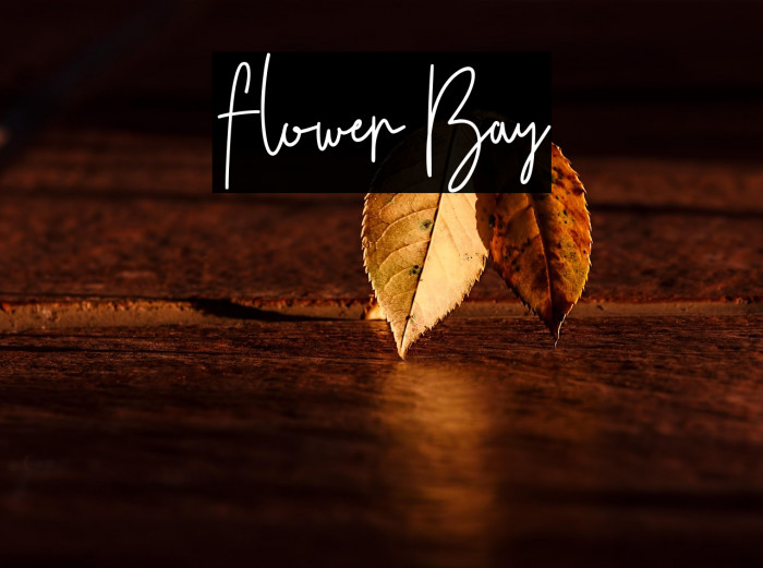 Flower Bay Example 2