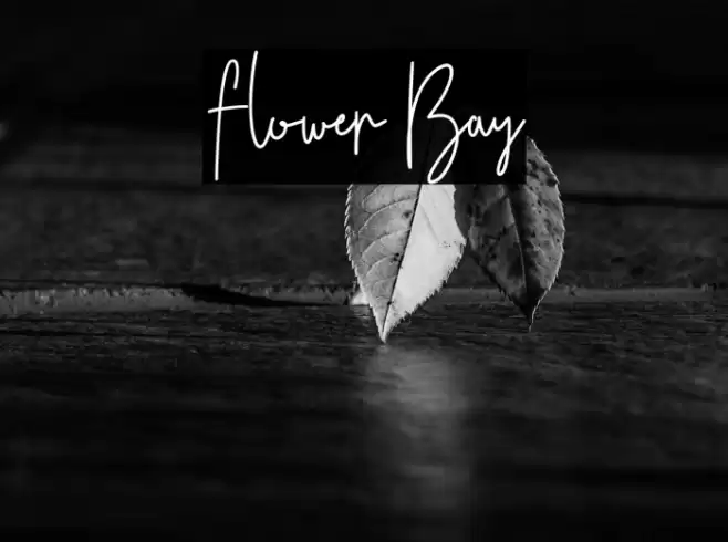 Flower Bay Font examples