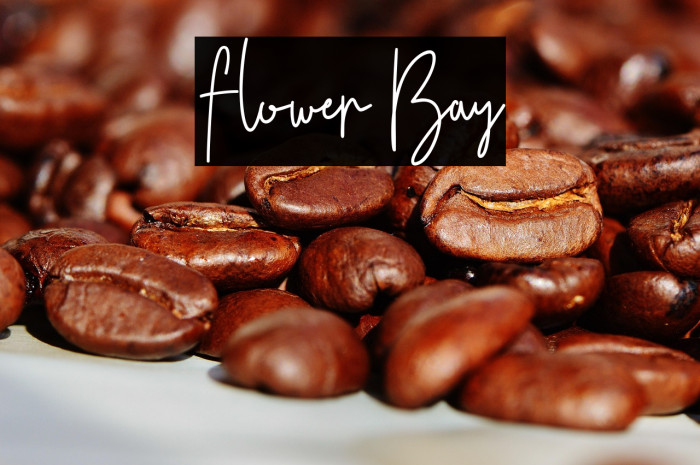 Flower Bay Example 3