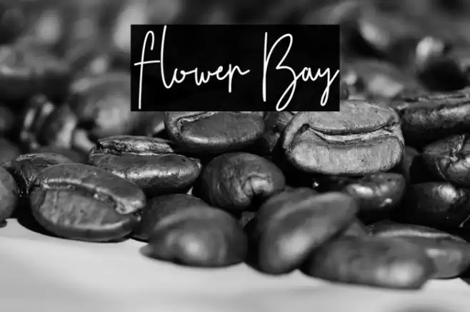 Flower Bay Font examples