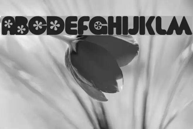 Flower  Bold Font examples