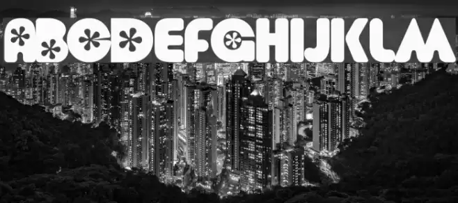 Flower  Bold Font examples