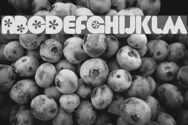 Flower  Bold Font examples