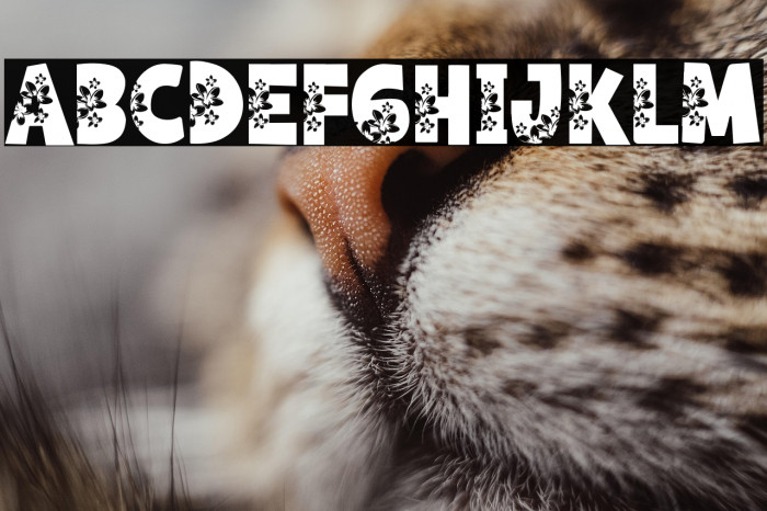 Flower Brownies Example 1