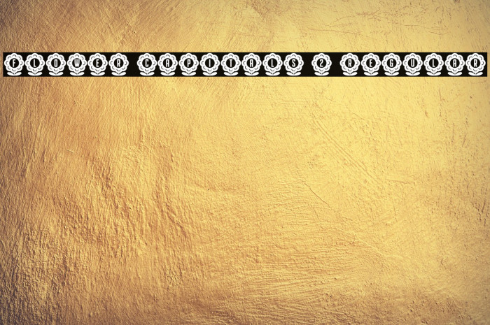 Flower Capitals 2 Regular Example 3