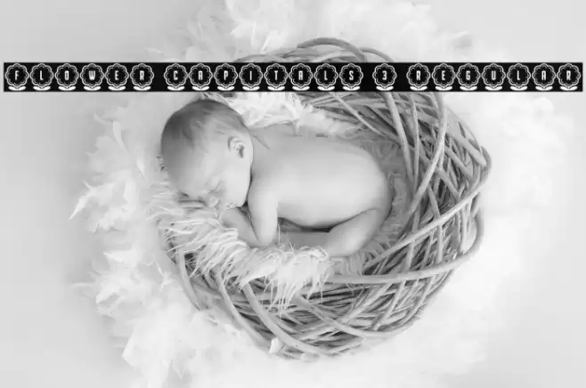 Flower Capitals 3 Regular Font examples