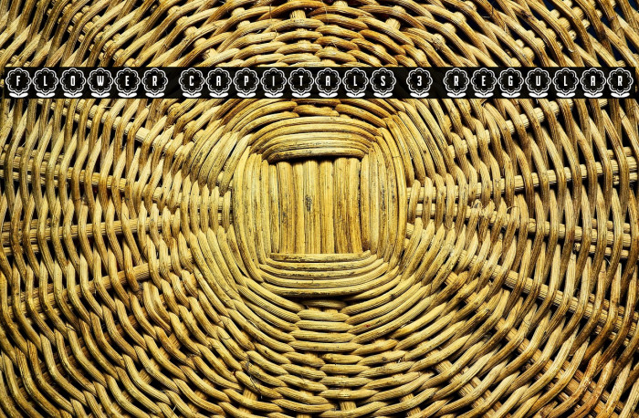 Flower Capitals 3 Regular Example 2