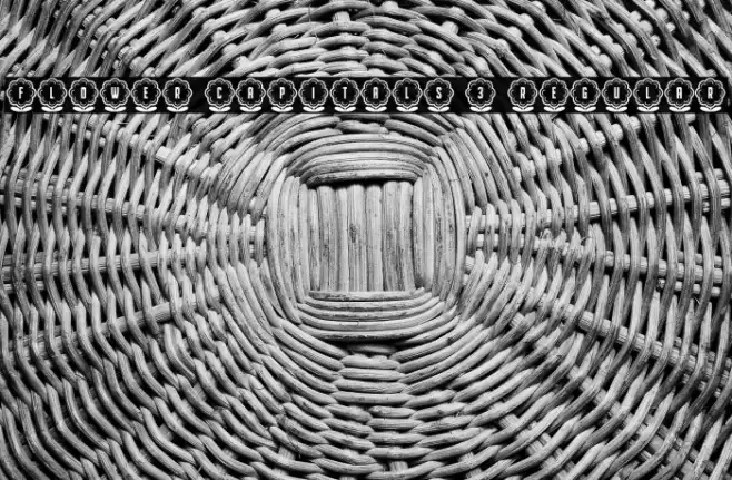 Flower Capitals 3 Regular Font examples