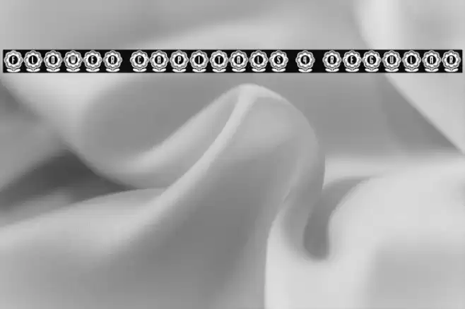 Flower Capitals 4 Regular Font examples