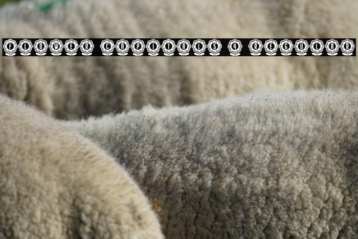 Flower Capitals 4 Regular Example 2