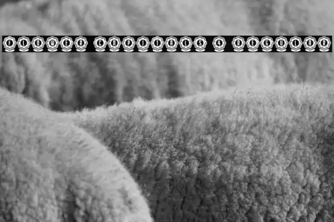 Flower Capitals 4 Regular Font examples